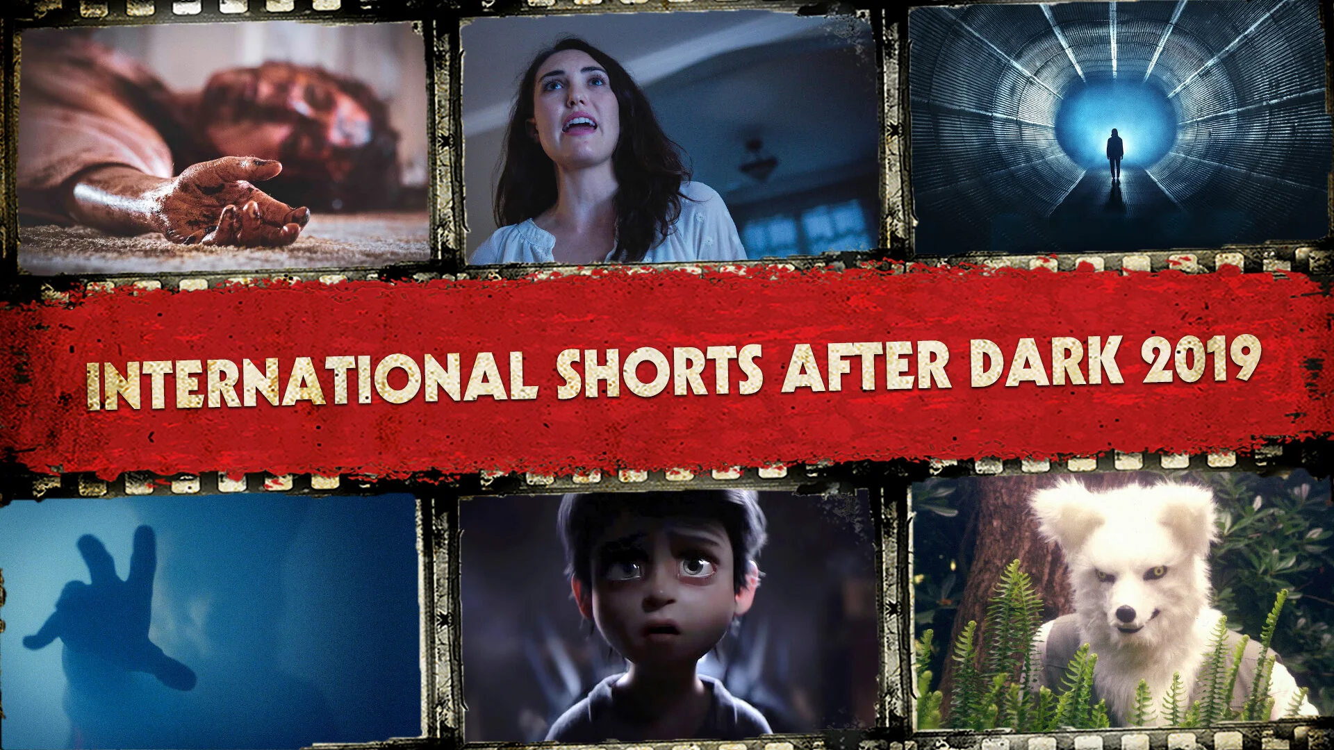 TAD19_IntlShortsBanner_1920x1080.jpg
