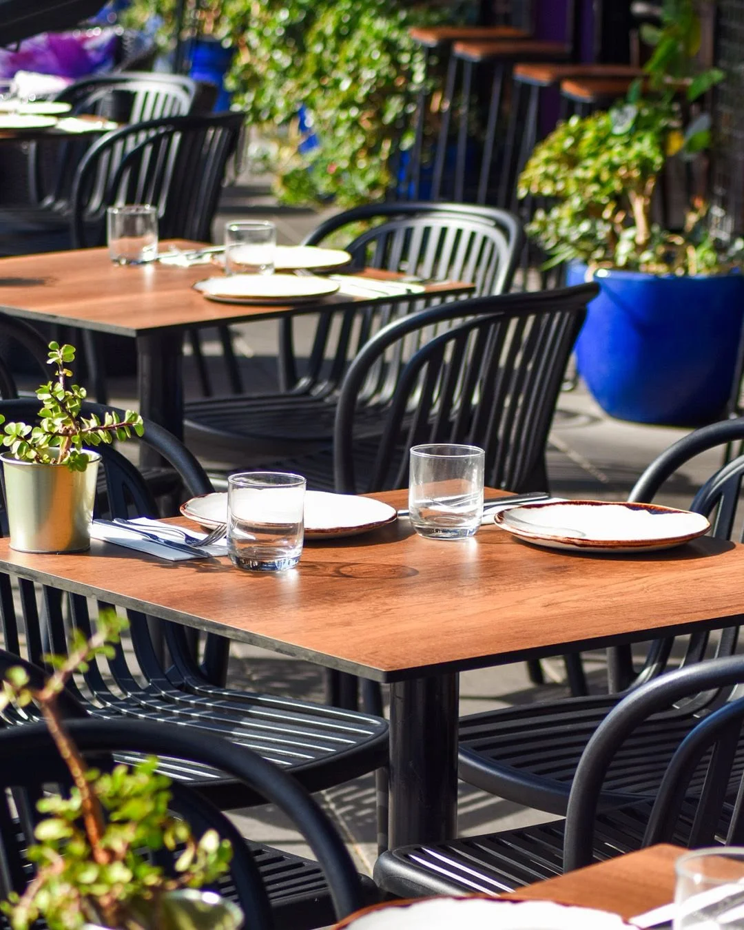 ✨ Lunar New Year at Plus5

Elevate your celebration riverside.

Spend $150 or more in one transaction and enjoy a $20 DFO Gift Card as part of the Lunar New Year celebration with @dfo_southwharf.

Designed for:
🥂 Bottomless brunch moments
🍸 Golden 