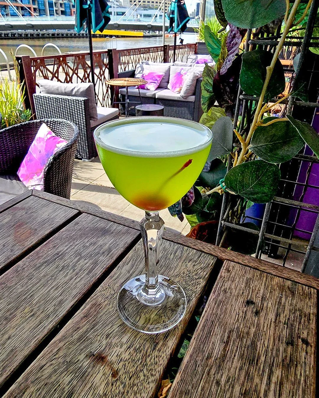 Autumn sun, riverside views, and refreshing cocktails.
Just how we like it!🍸🍂