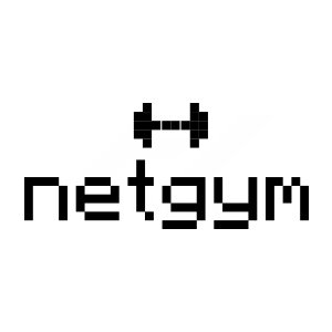 netgym.jpg