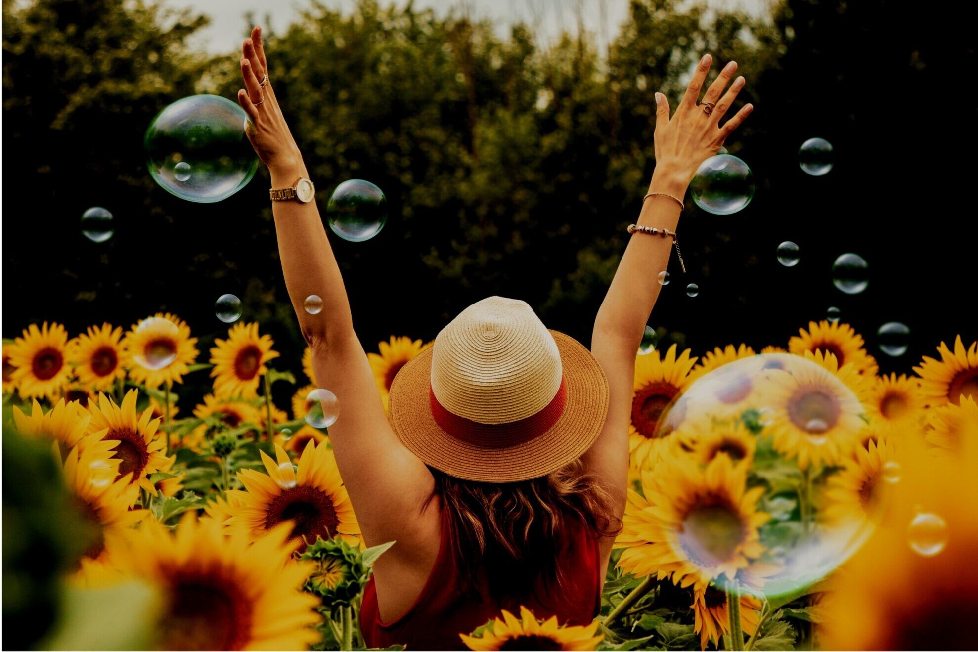 4k-wallpaper-beautiful-bloom-1263986.jpg