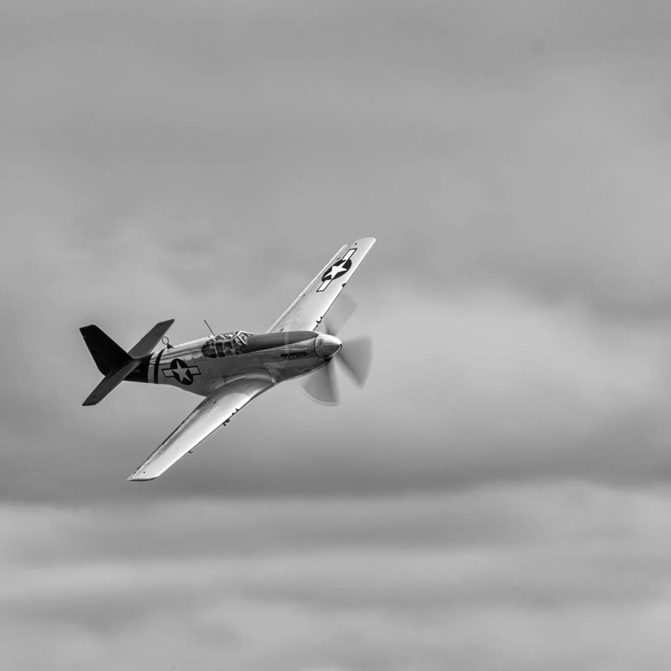 untitled-13a.jpg