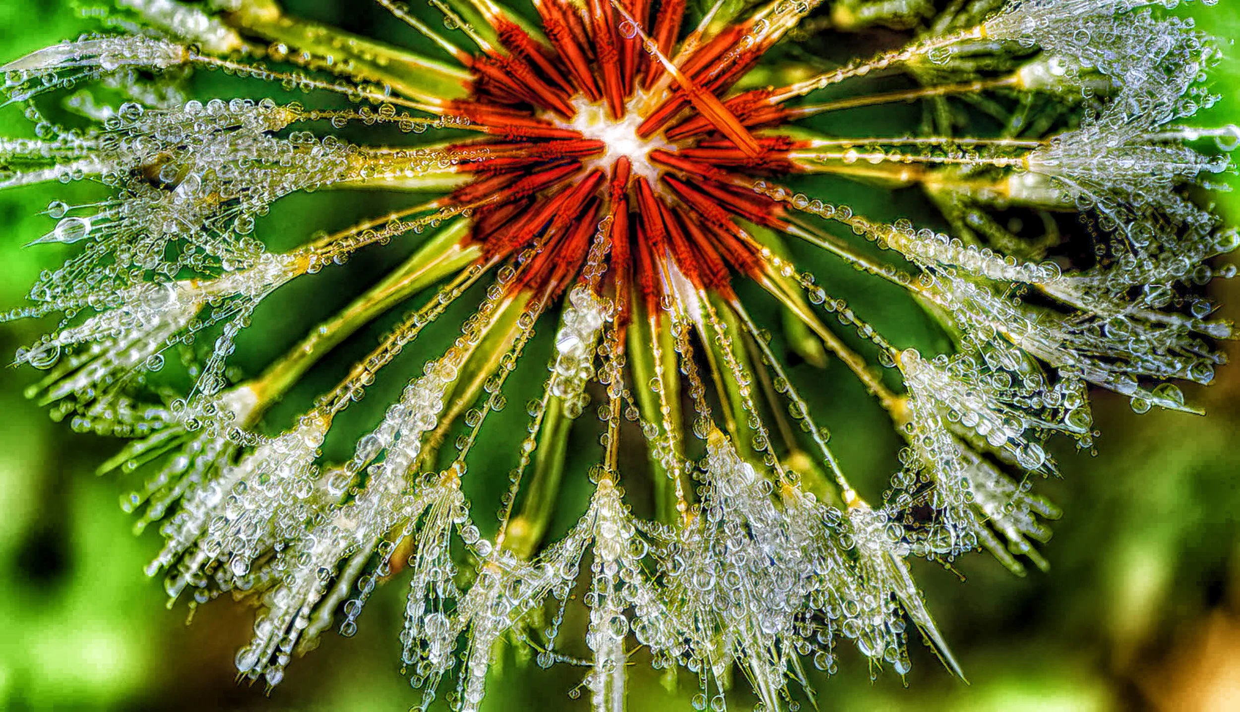 06022022_Portland,Me_HendricksHeadLighthouse (32 of 64)-HDR-Edit-2-Edit-2_Nik_DxO.jpg