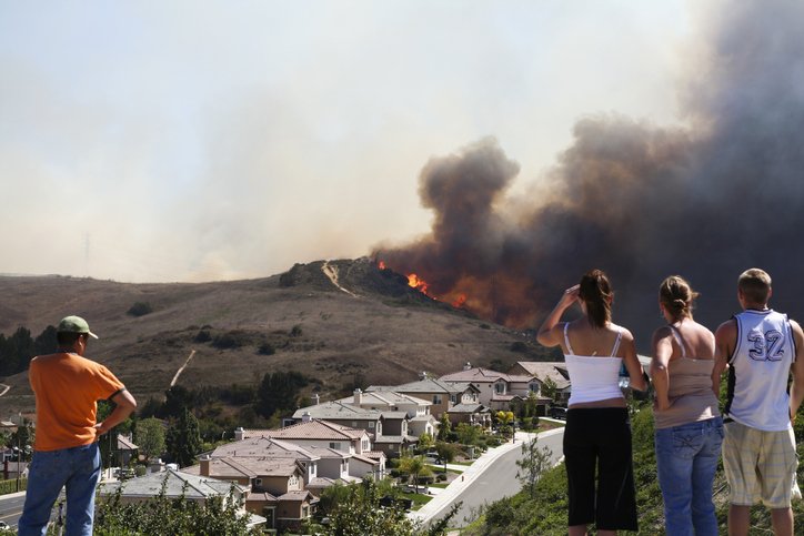wildfire.jpeg