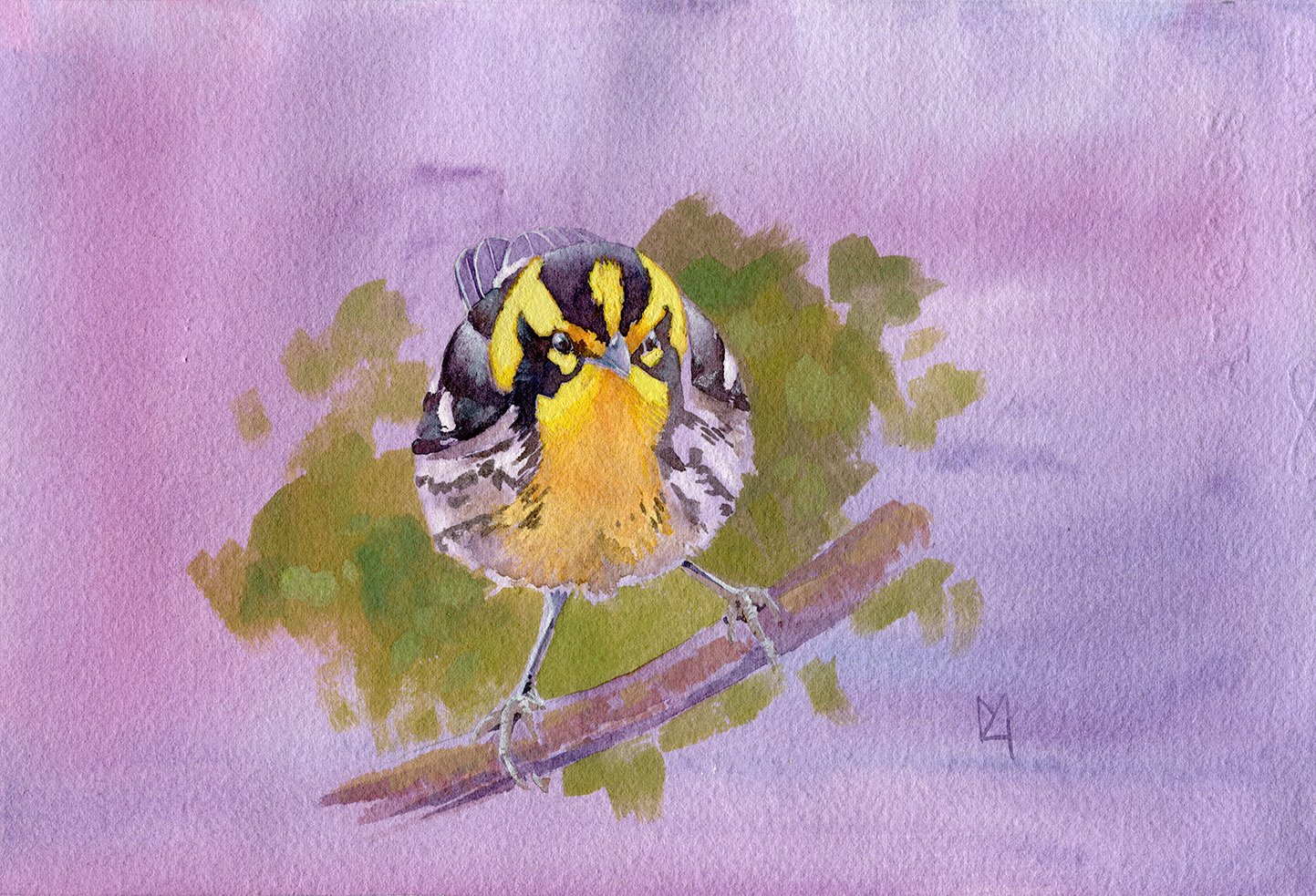 A blackburnian warbler