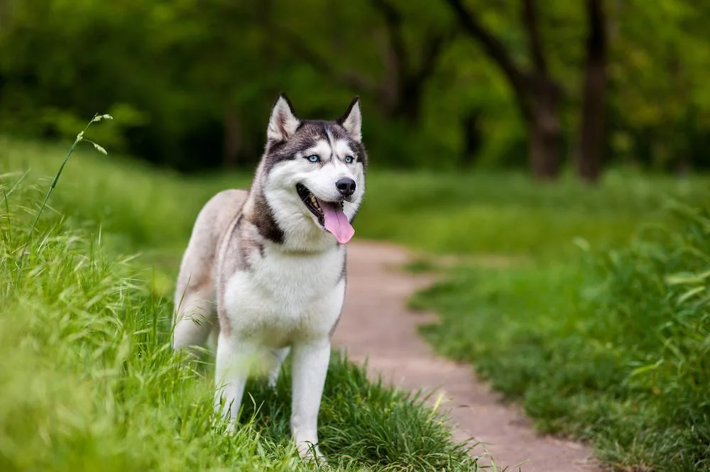 shutterstock_305571614.jpg