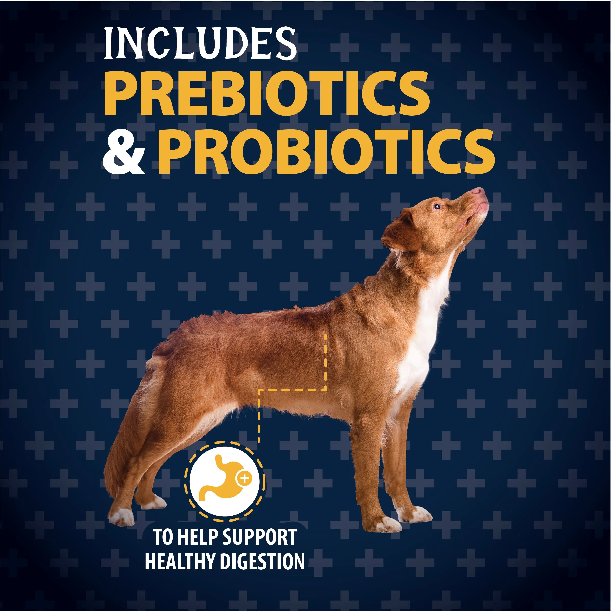 Triumph Free Spirit Grain Free Puppy Recipe Dog Food — Triumph Pet Food