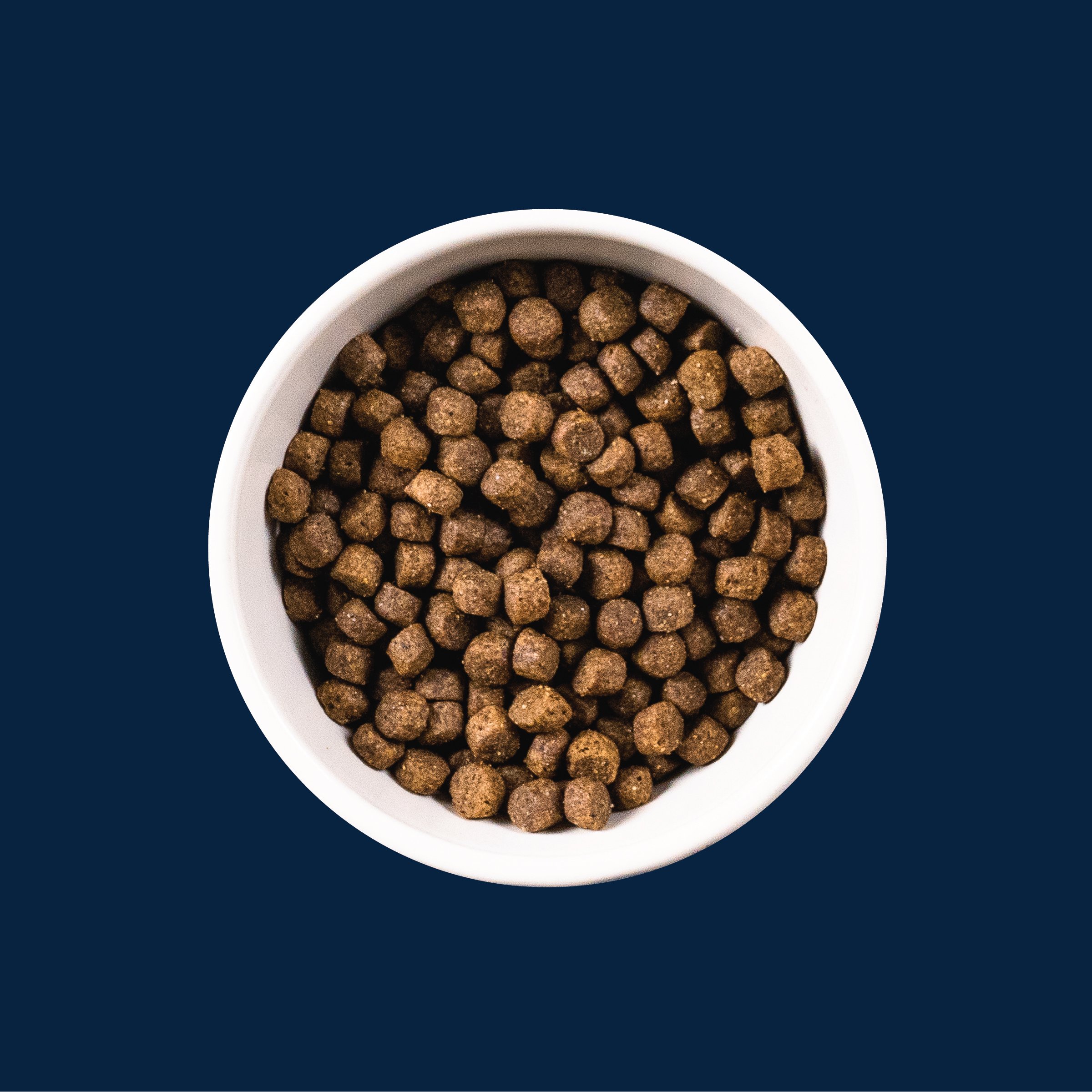 Triumph Free Spirit Grain Free Senior Recipe Dog Food — Triumph Pet Food