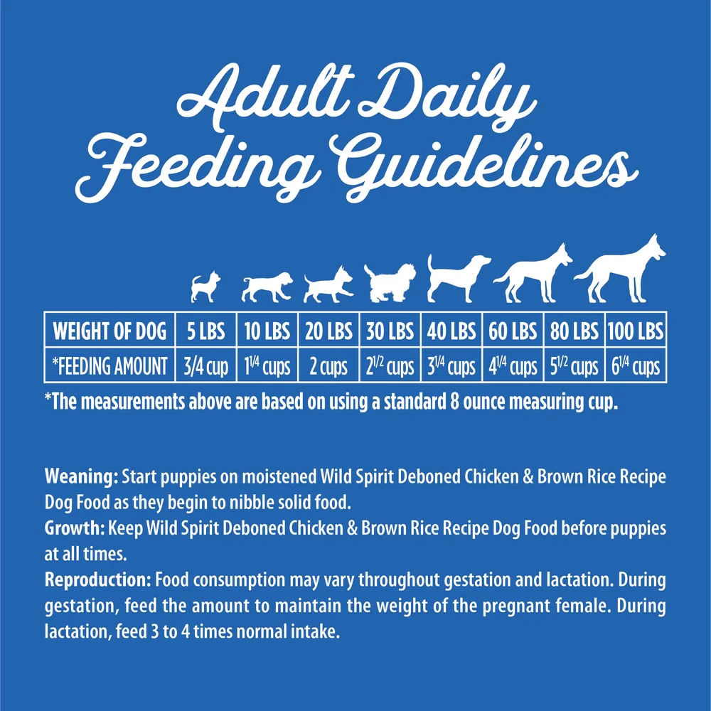 is-rice-good-for-pregnant-dogs