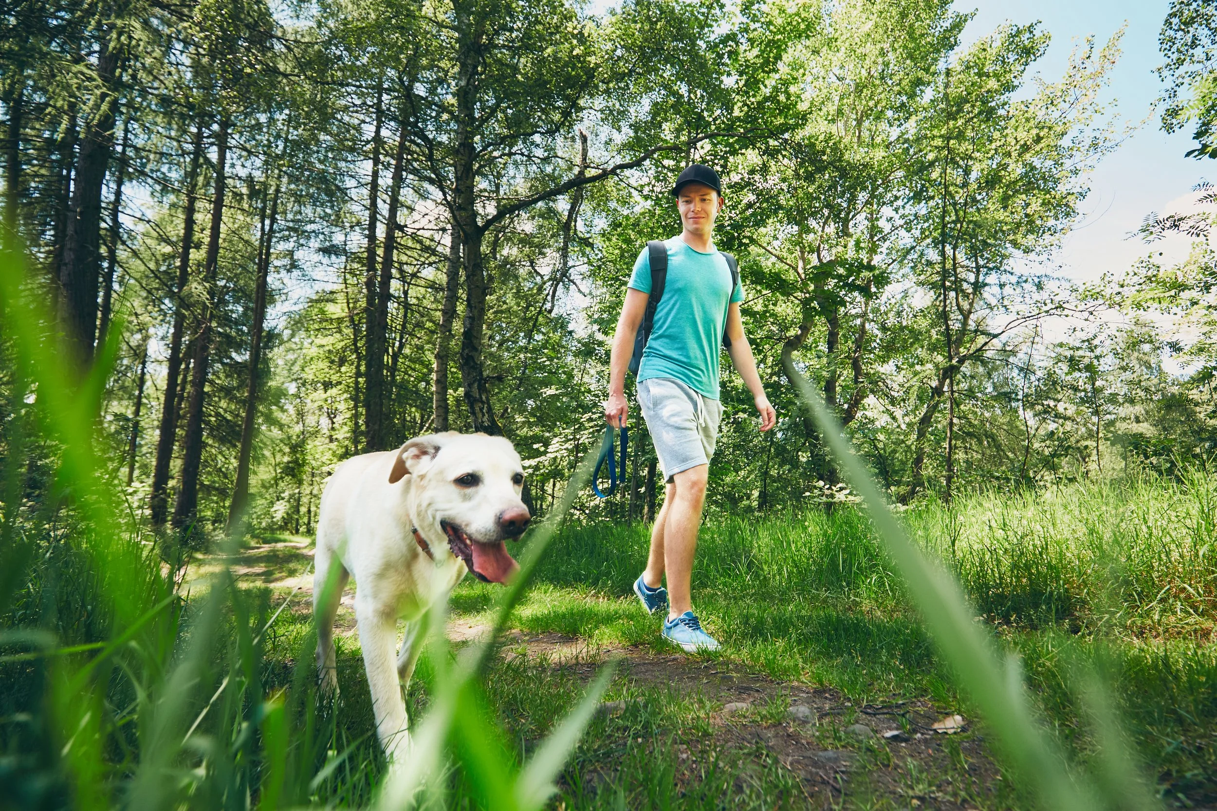 Top 5 Pet-Friendly Hiking Trails in Texas!