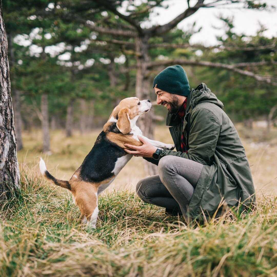 Adventuring with beagles, nose to nose, heart to heart. ❤️ 🐕 

#TriumphTogether #TriumphPack #NoseToNose