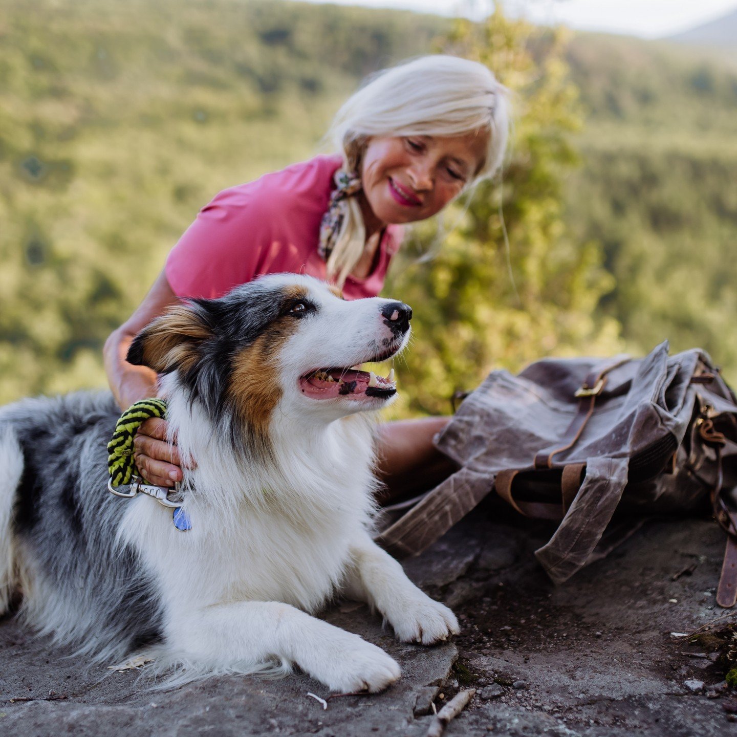 The end of every adventure calls for lots of pets, and maybe a few behind-the-ear scratches too 🐾 ⛰️ 

#TriumphTogether #TriumphPack #TrailsAndTails