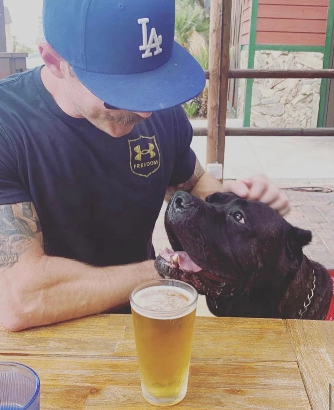 The Best Pet Friendly Breweries — Triumph Pet Food