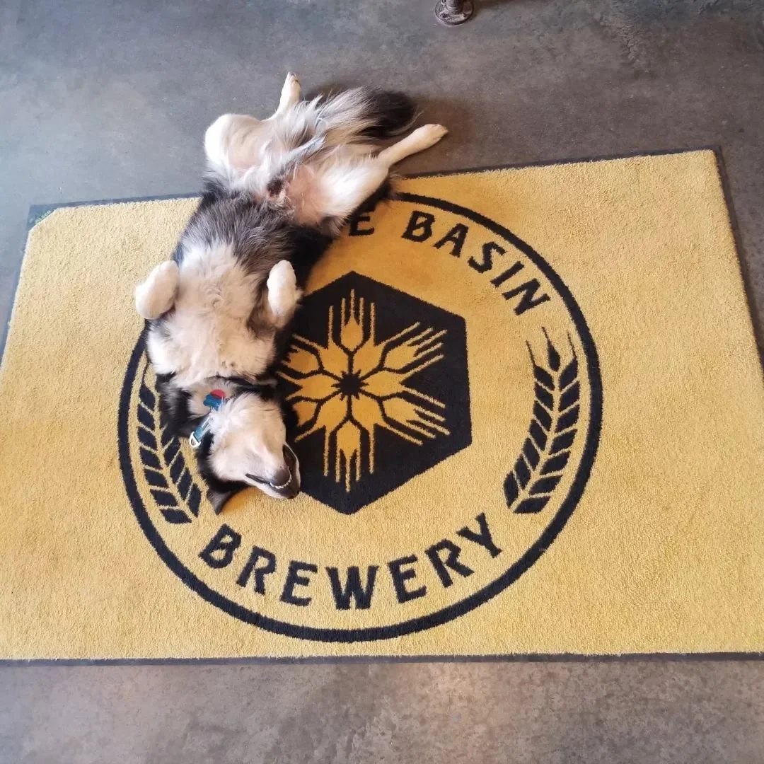The Best Pet Friendly Breweries — Triumph Pet Food