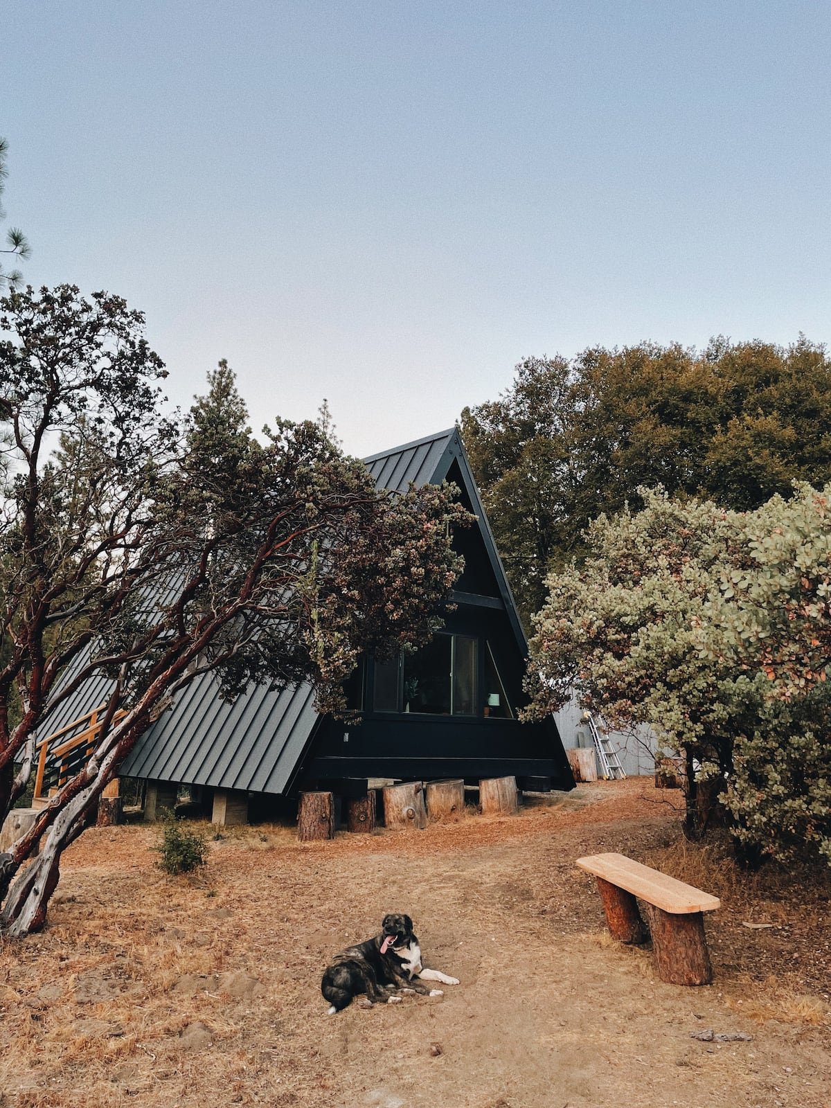  Forget your worries at this well-designed and  welcoming A-frame  located on the edge of Yosemite National Park. You and your pack will be surrounded by tranquility and wonder as you plan your adventures.    Typical starting price: $246    Location: