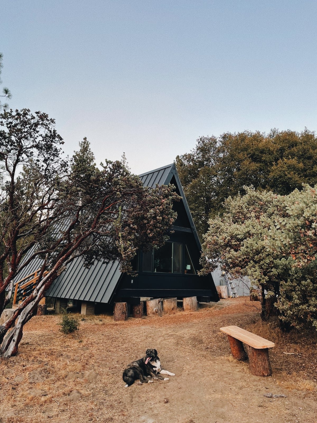 Forget your worries at this well-designed and  welcoming A-frame  located on the edge of Yosemite National Park. You and your pack will be surrounded by tranquility and wonder as you plan your adventures.    Typical starting price: $246    Location:
