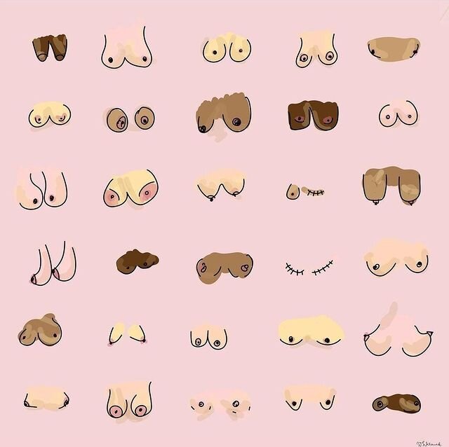 Vulva Shapes