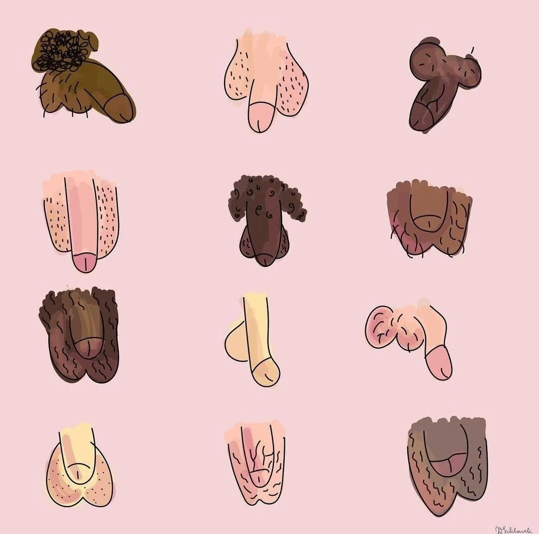 penises.jpg