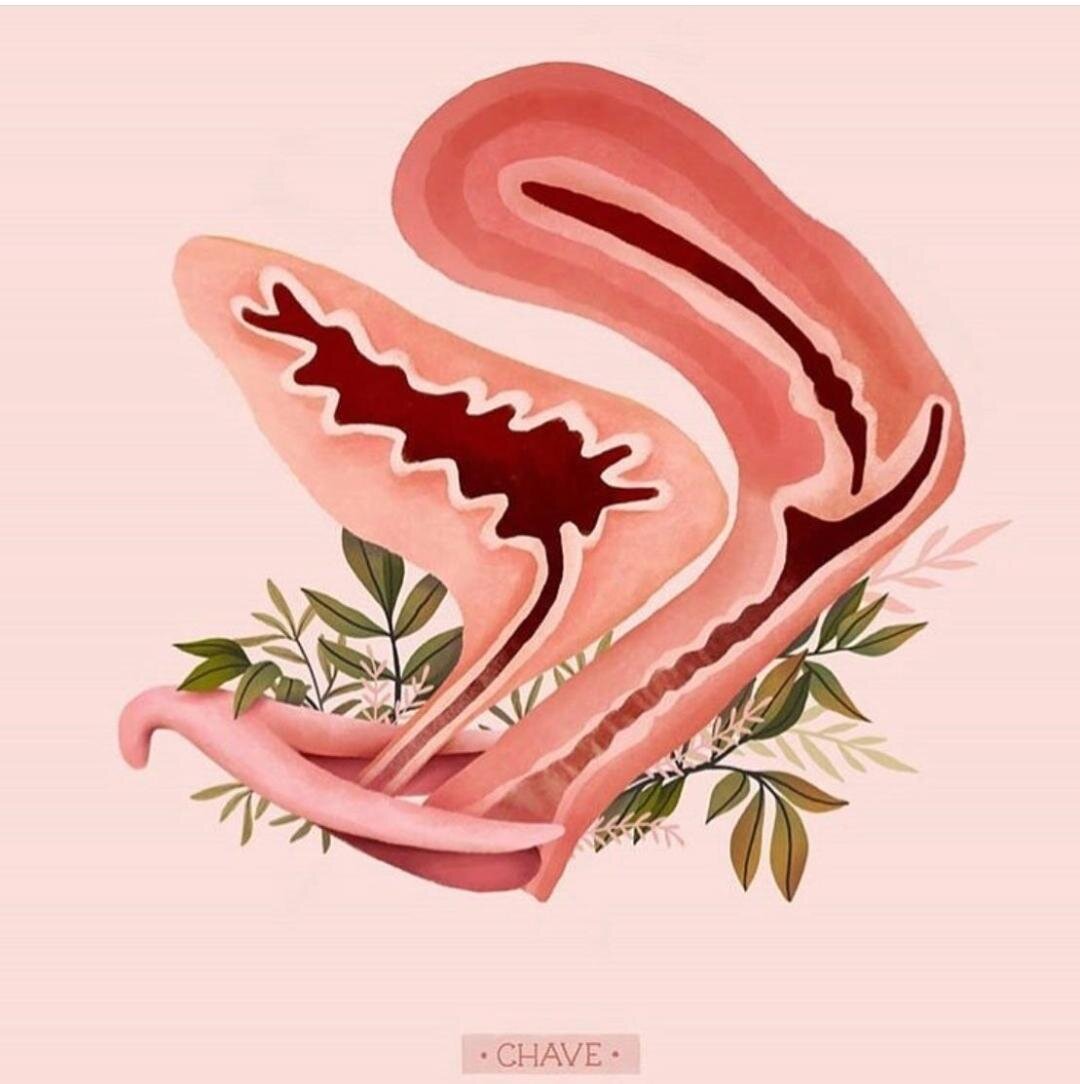 bladder and uterus.jpg