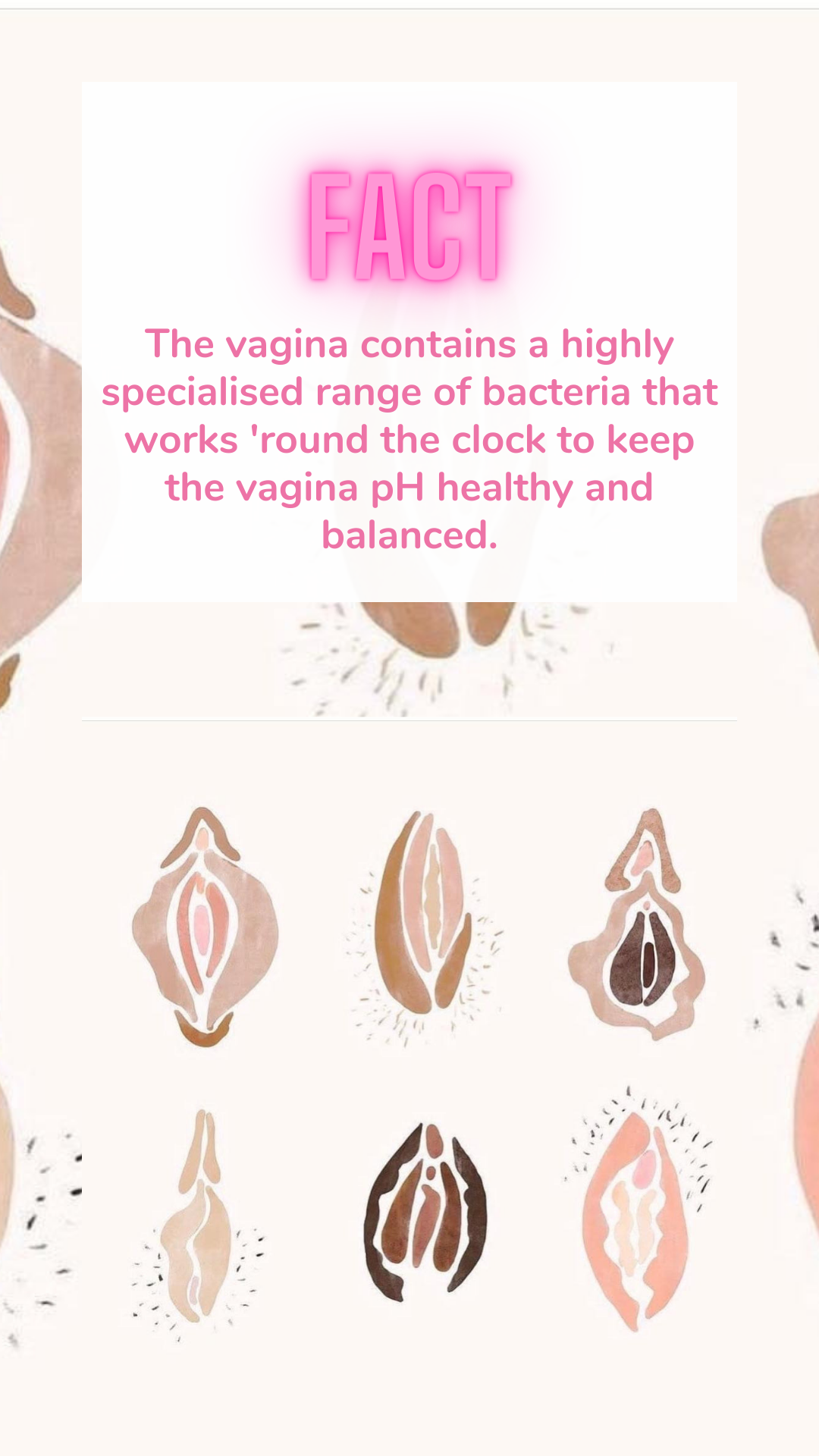 13.png