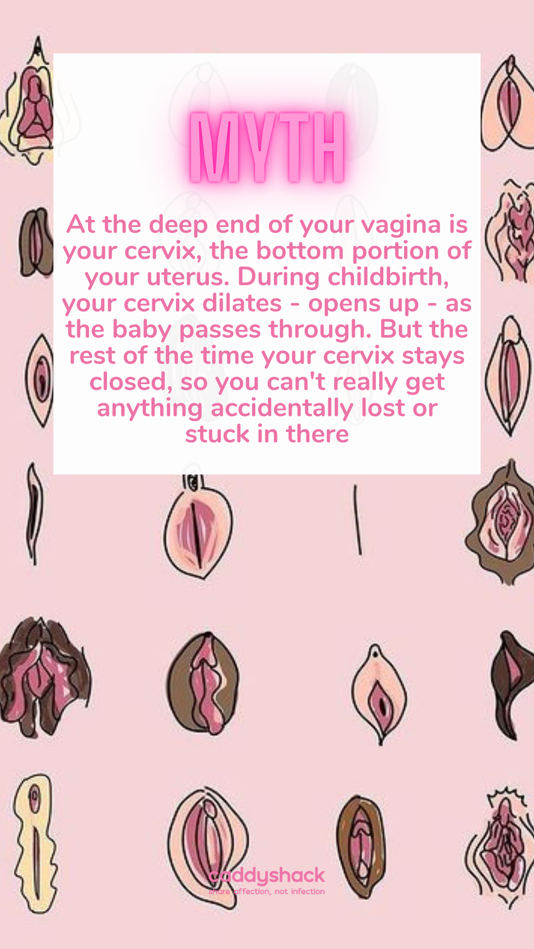 19.png