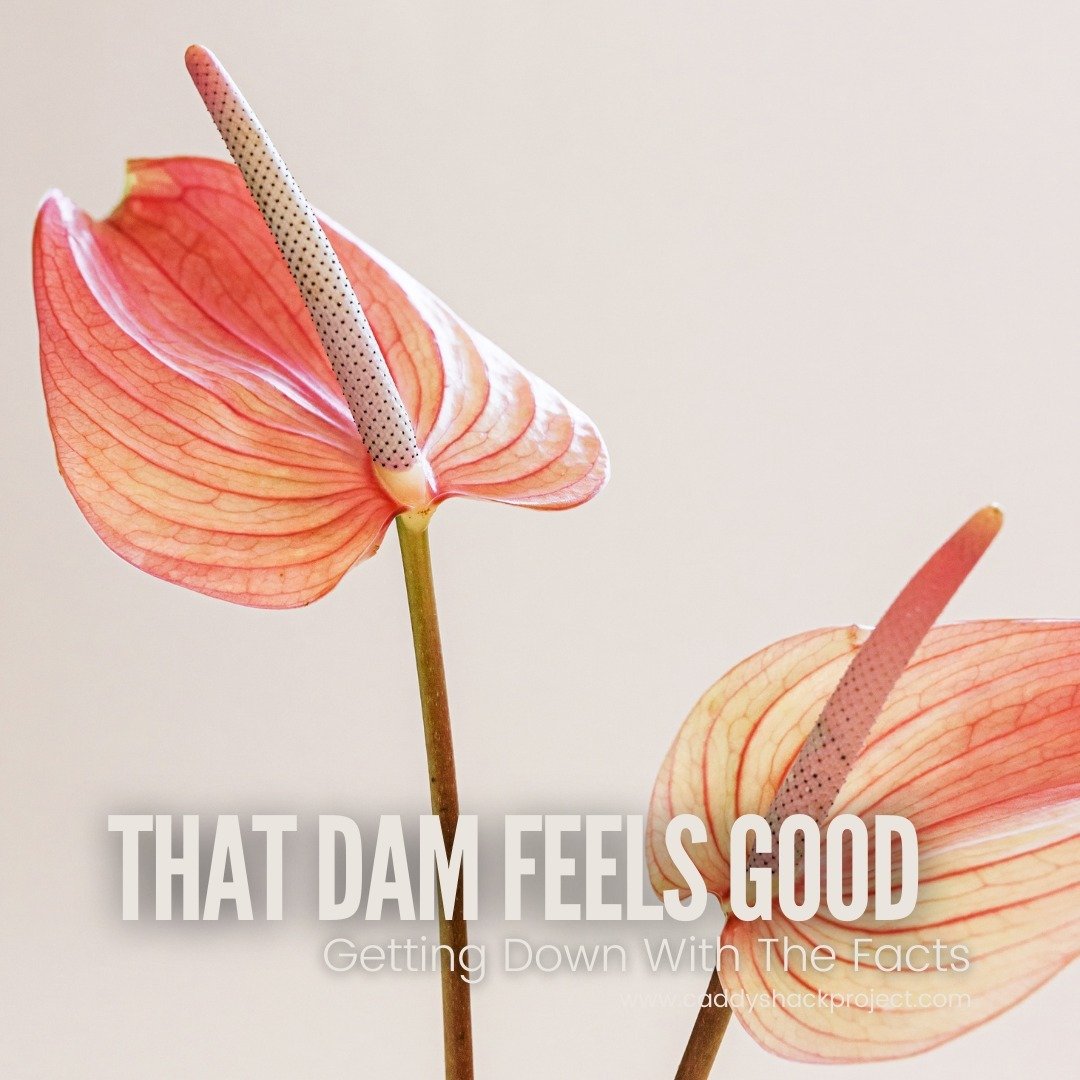 𝙶𝚎𝚝𝚝𝚒𝚗𝚐 𝙳𝚘𝚠𝚗 𝚆𝚒𝚝𝚑 𝚃𝚑𝚎 𝙵𝚊𝚌𝚝𝚜: The deal with dams! 🌟

🧠 𝗪𝗵𝗮𝘁'𝘀 𝗮𝗻 𝗼𝗿𝗮𝗹 𝗱𝗮𝗺? An oral dam is a thin, stretchy piece of latex (or polyurethane) that is used during oral sex to reduce the spread of STI&rsquo;s.

🧠 𝗪