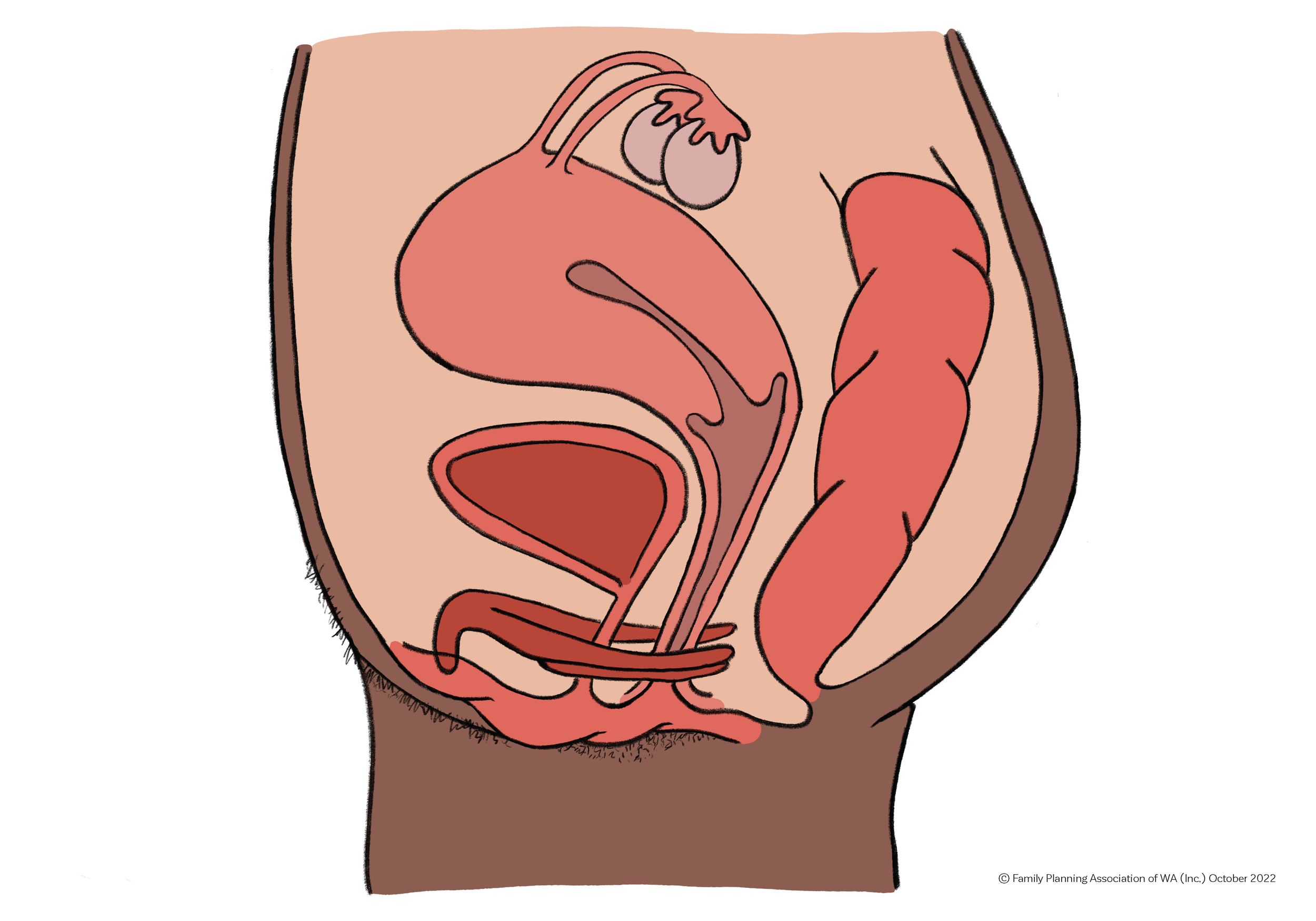 Friendly-Drawings-Essentials-Kit-Nov-2022_Page_27.png