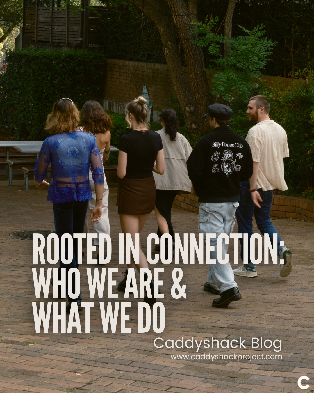 Rooted in Connection: Who We Are &amp; What We Do&nbsp;