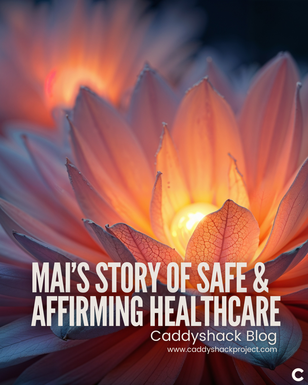 Before We Walk Through The Doors: Finding Safe &amp; Affirming Healthcare