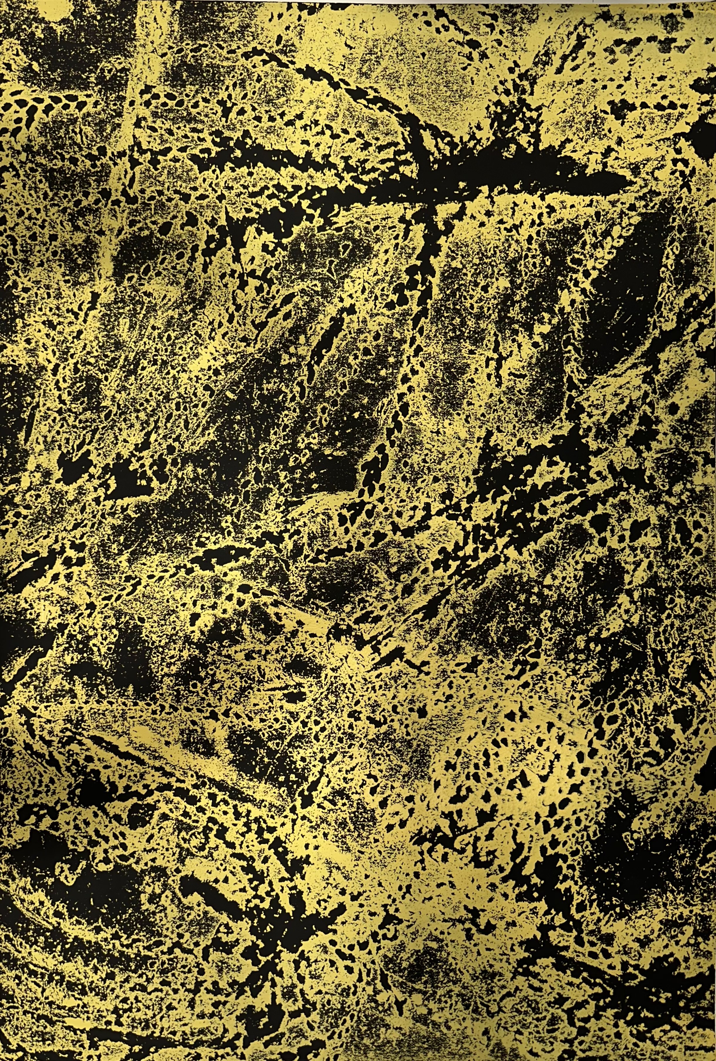 “Hair Prints” (2023)