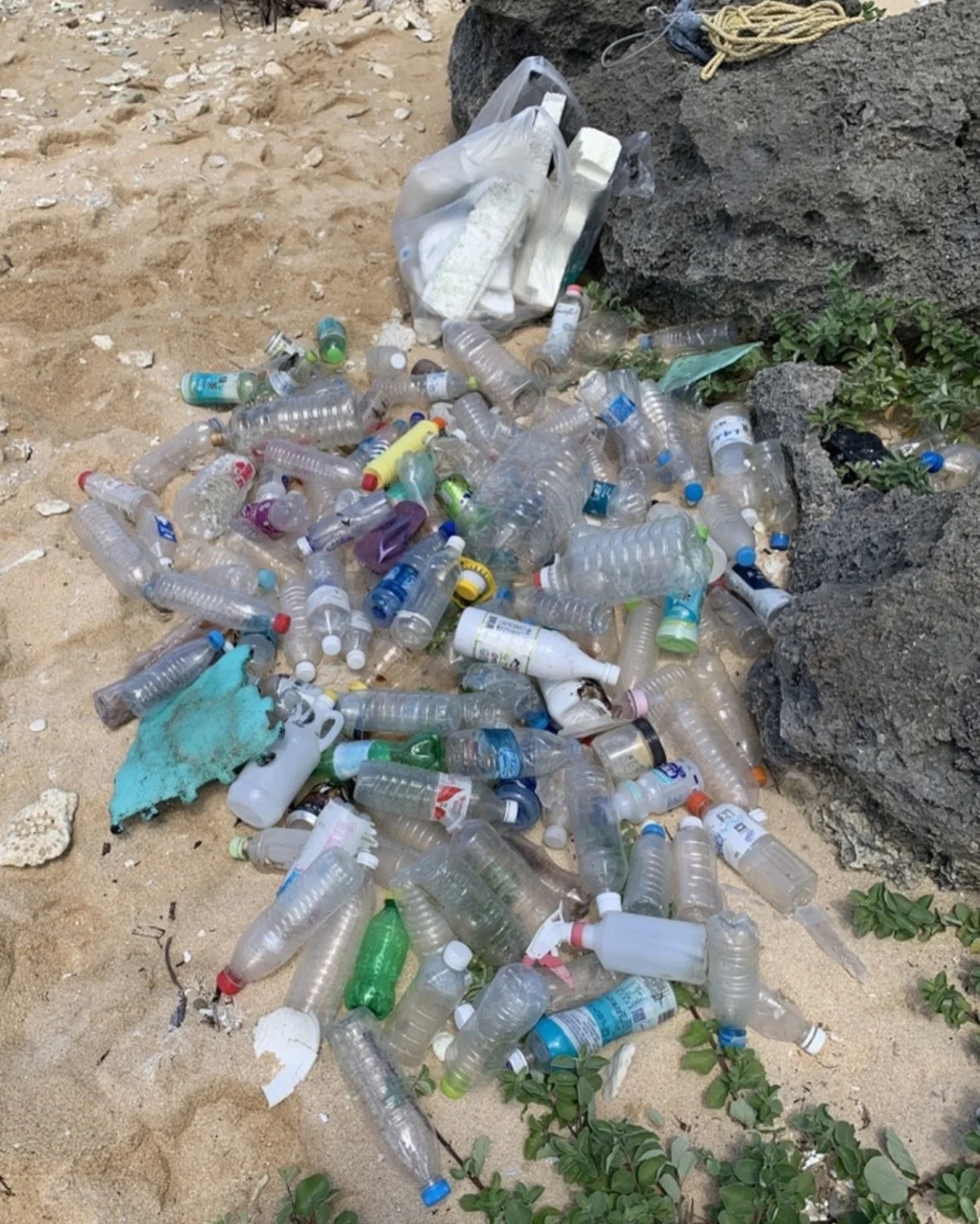 🌊 235,220本を海から回収！
🐋235,220 bottles removed from the ocean!

みなさんの給水アクションによる成果です✨ 「海をきれいにする給水キャンペーン」 （2025年9月20日〜12月31日）
💧 給水回数【23,522回】  🗻 富士山11個分の高さに相当
1回の給水が、ペットボトル10本分の回収へ。
  一人ひとりの選択が、大きなインパクトになりました。
キャンペーンは終了しましたが、アクションは続きます。  これからも一緒に「給水」で世