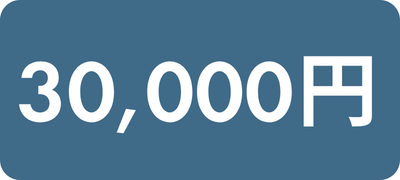 30000(annual).png