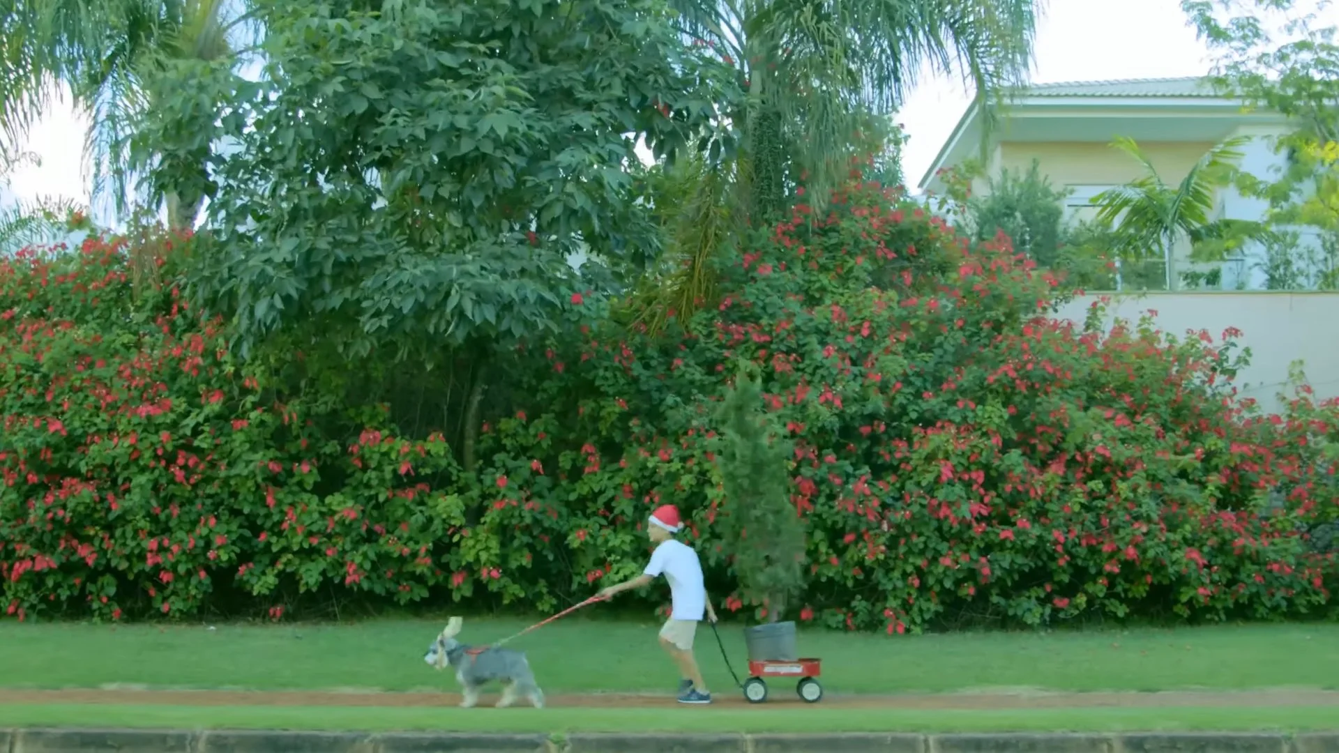 "Espalhe o Amor do Natal" - Don Diego Store