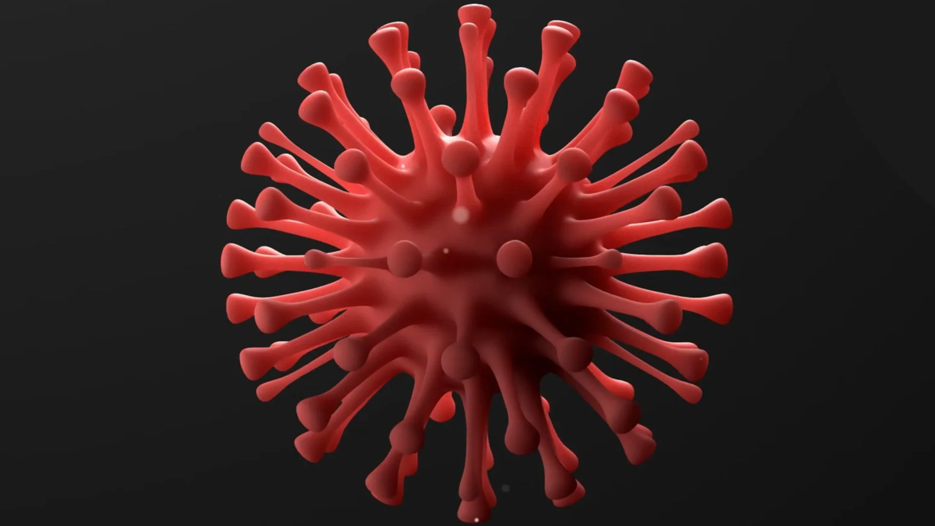 JUNTOS CONTRA O CORONAVÍRUS