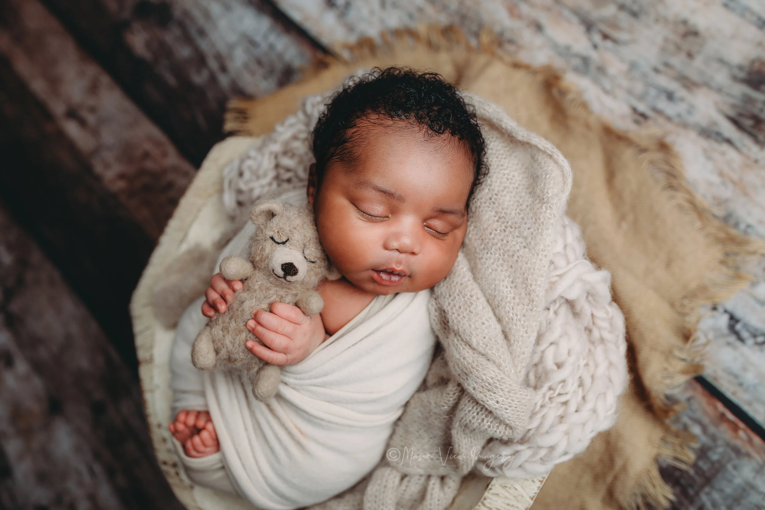 Newborn — Mason View Imagery