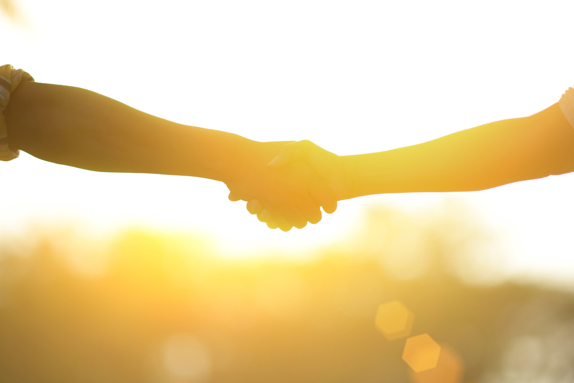 handshakesun_web.jpeg