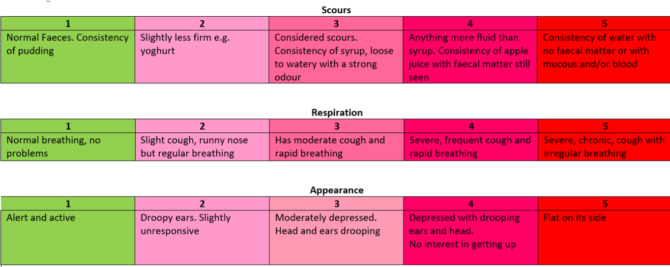 Protocol for Dealing with Sick Calves
