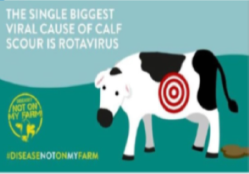 Rotavirus
