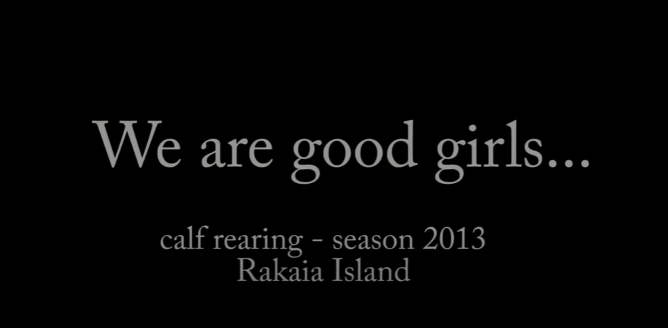 Calf Rearing at Rakaia Island 2013 video