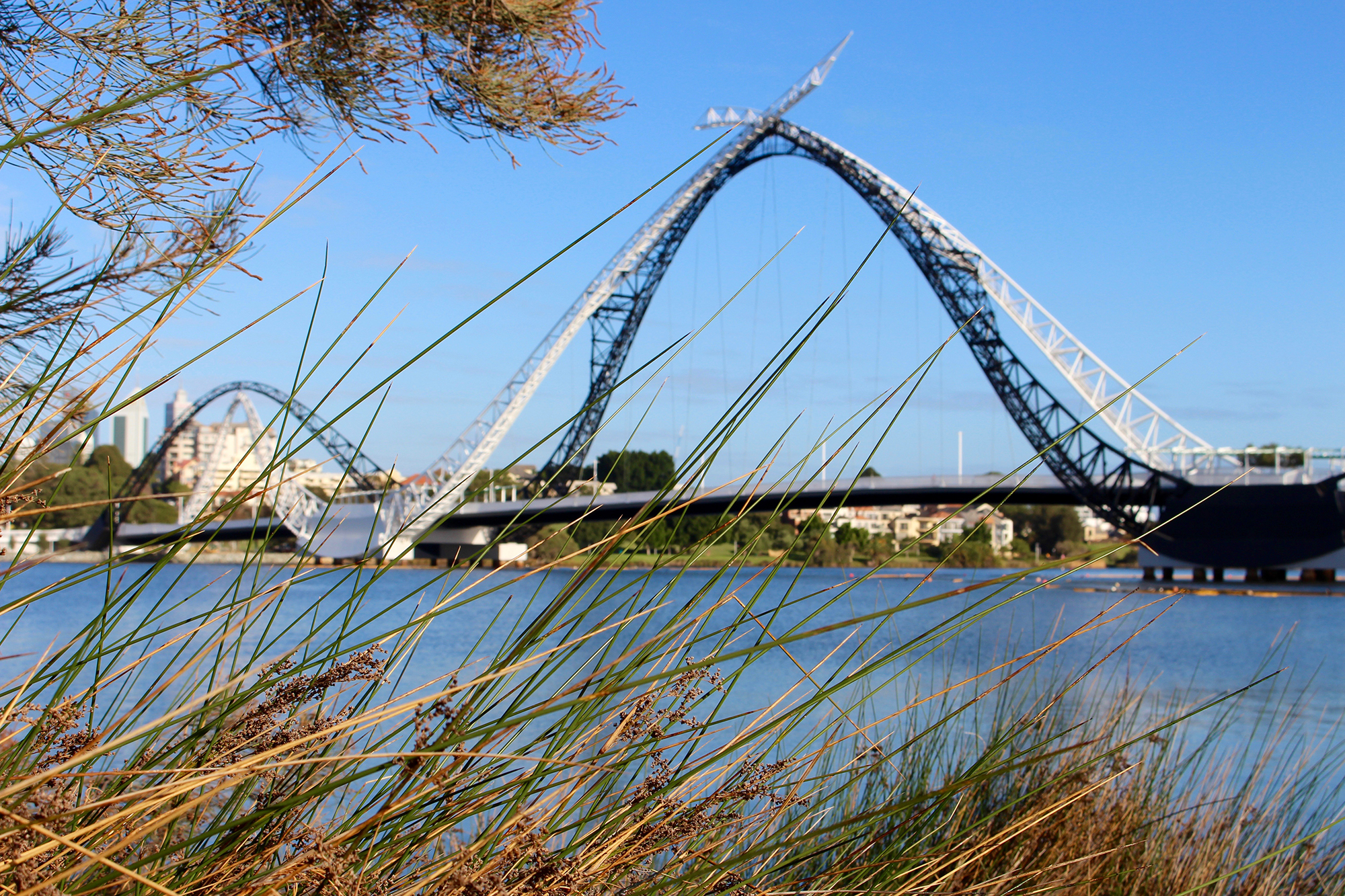 Matagarup Bridge Perth V2.jpg