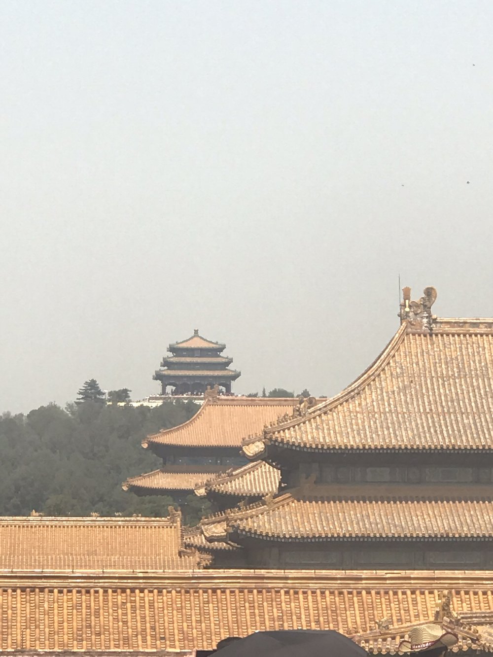 Forbidden City looking over the rooftops of the city to the Pagody at Jingshan Park.jpg