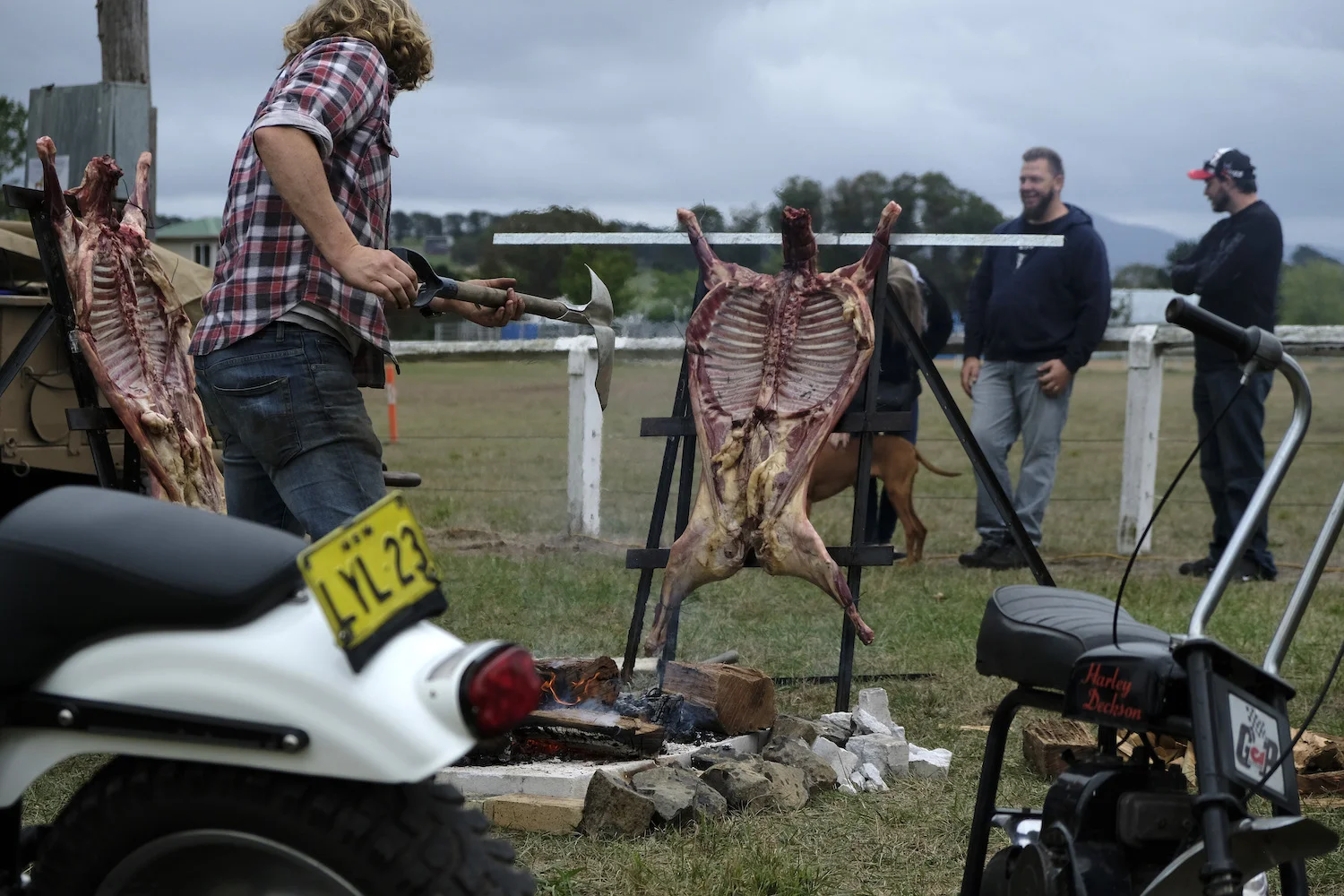 the machine show - damien drew0025.JPG