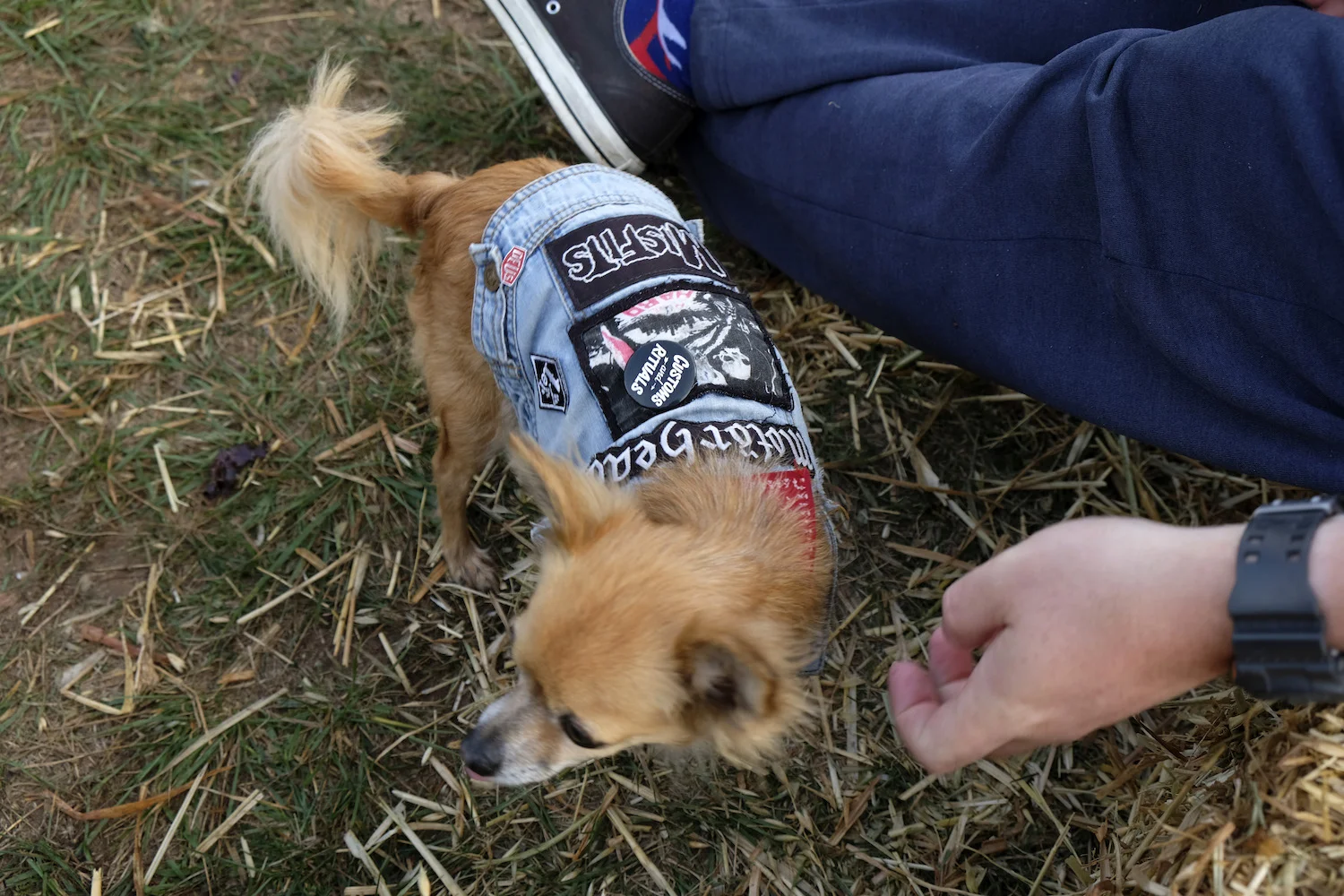 the machine show - damien drew0141.JPG