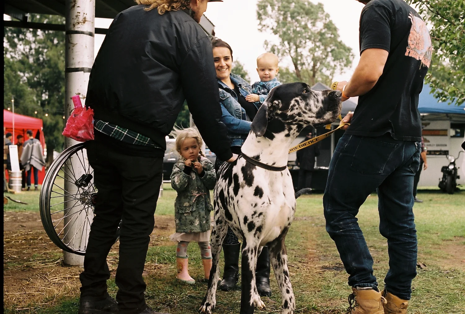 the machine show - bjorn johnston-R1-31-32.JPG