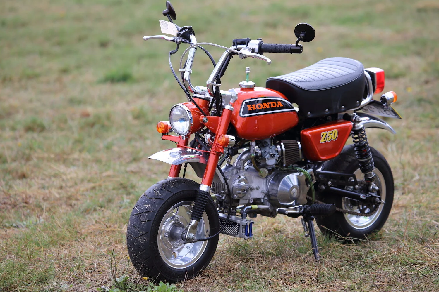 MS50 - roger chambers - the machine show.JPG