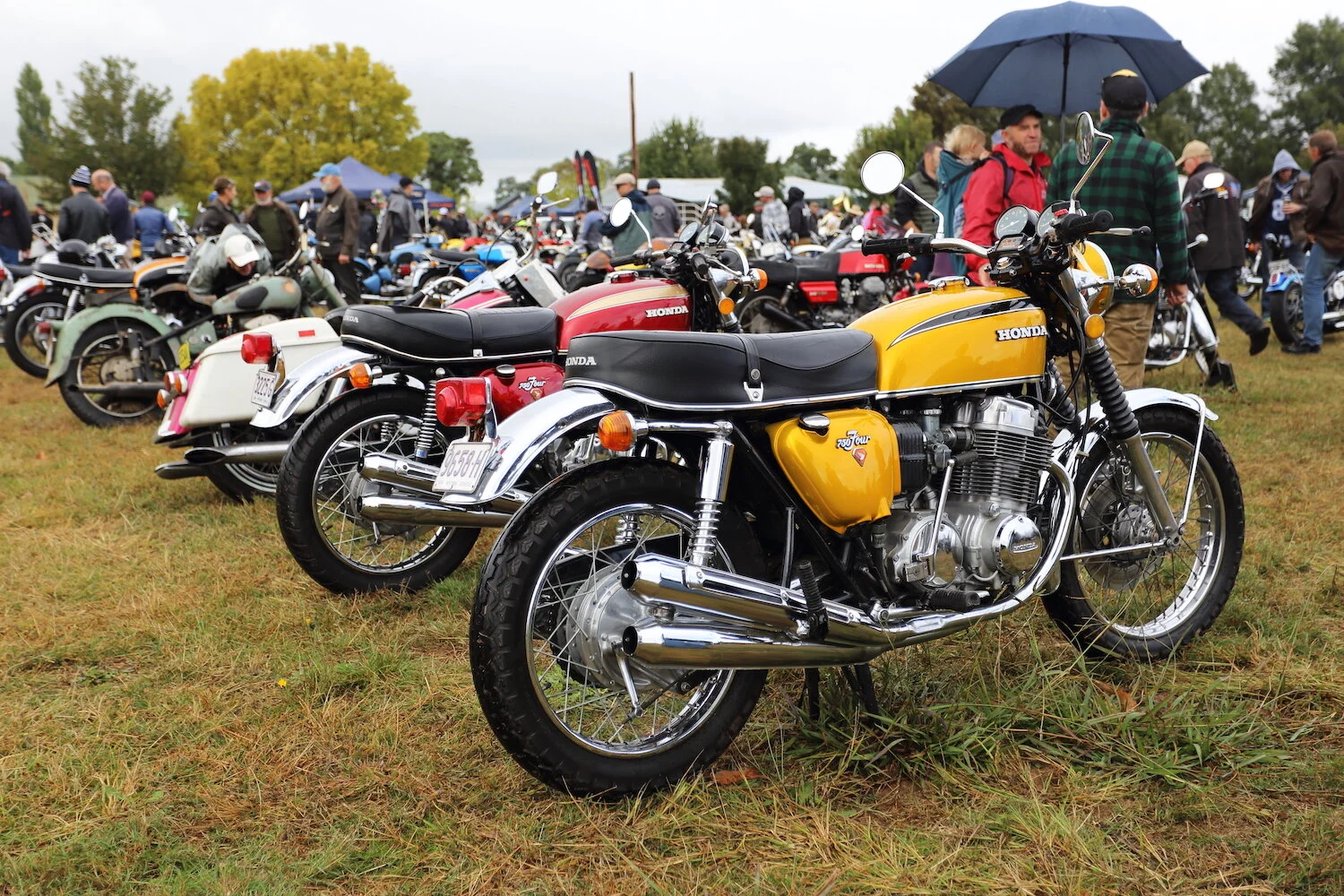 MS34 - roger chambers - the machine show.JPG