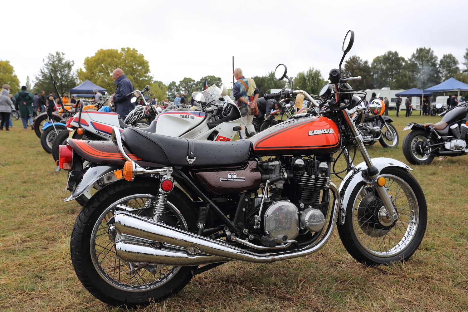 MS30 - roger chambers - the machine show.JPG