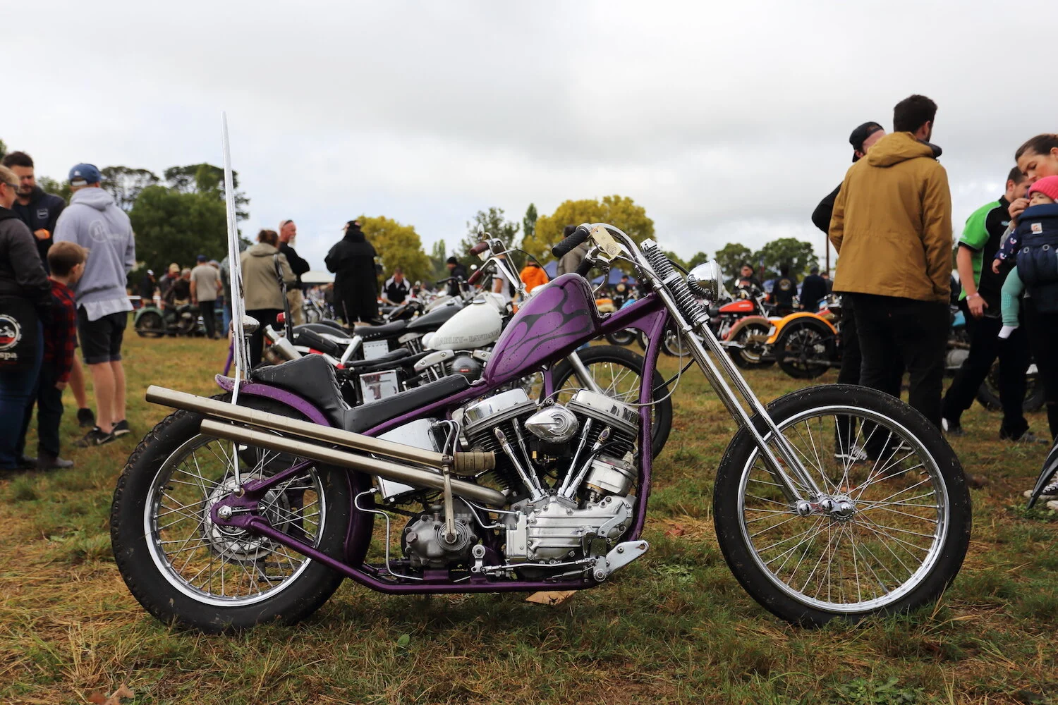 MS27 - roger chambers - the machine show.JPG