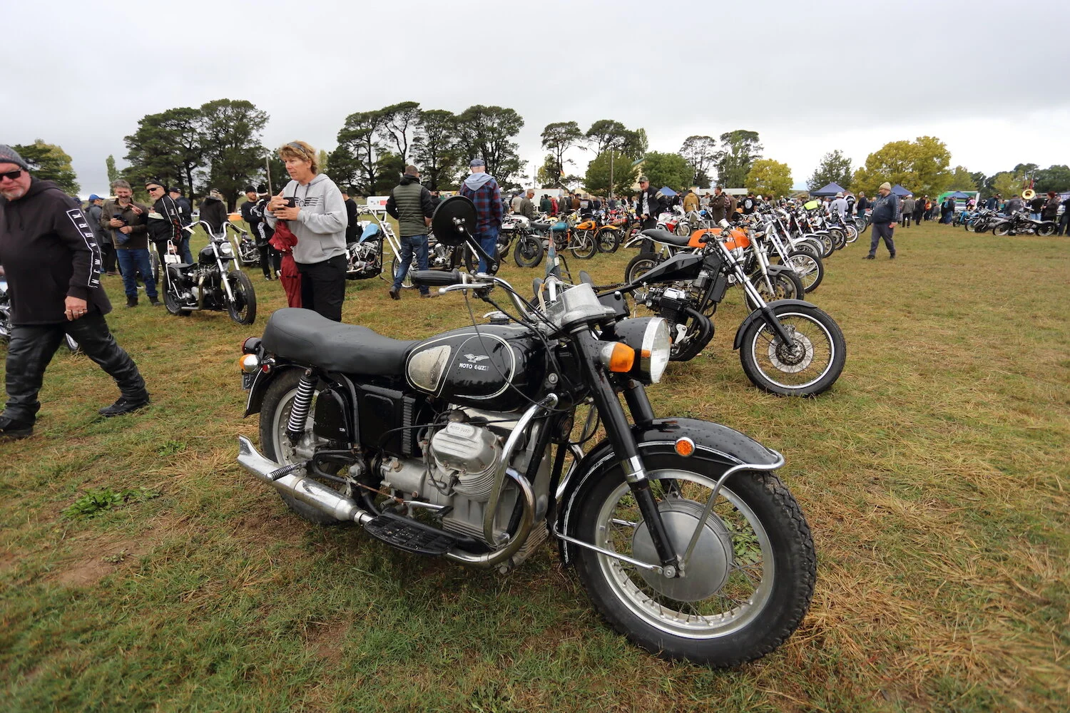 MS33 - roger chambers - the machine show.JPG