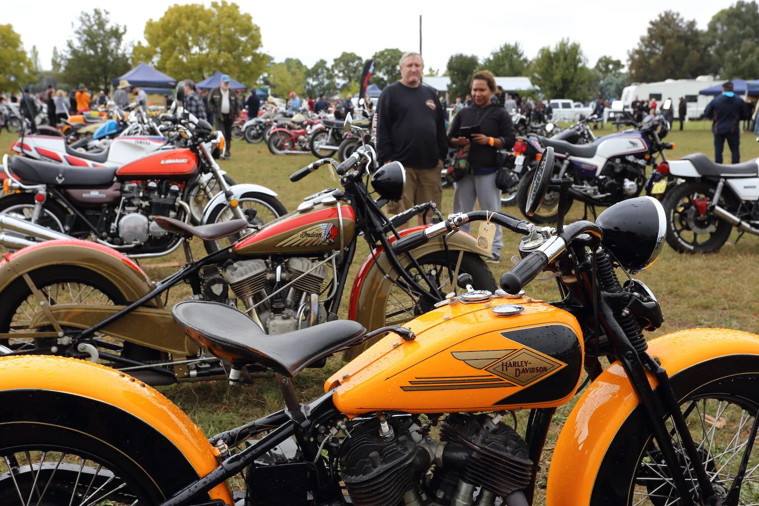 MS29 - roger chambers - the machine show.JPG